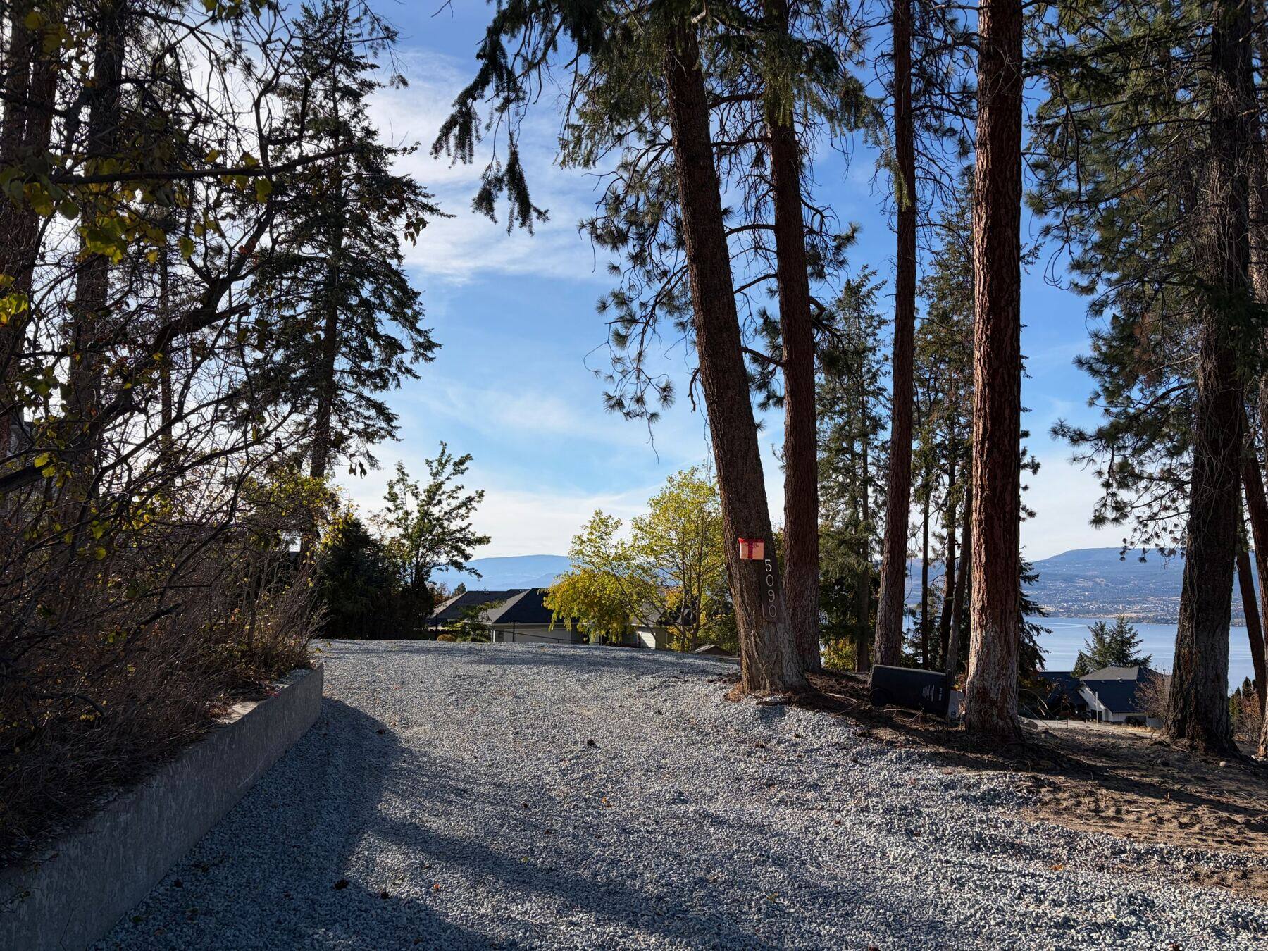 Gravel driveway leading into the lot past tall pines, with the lake visible on the right