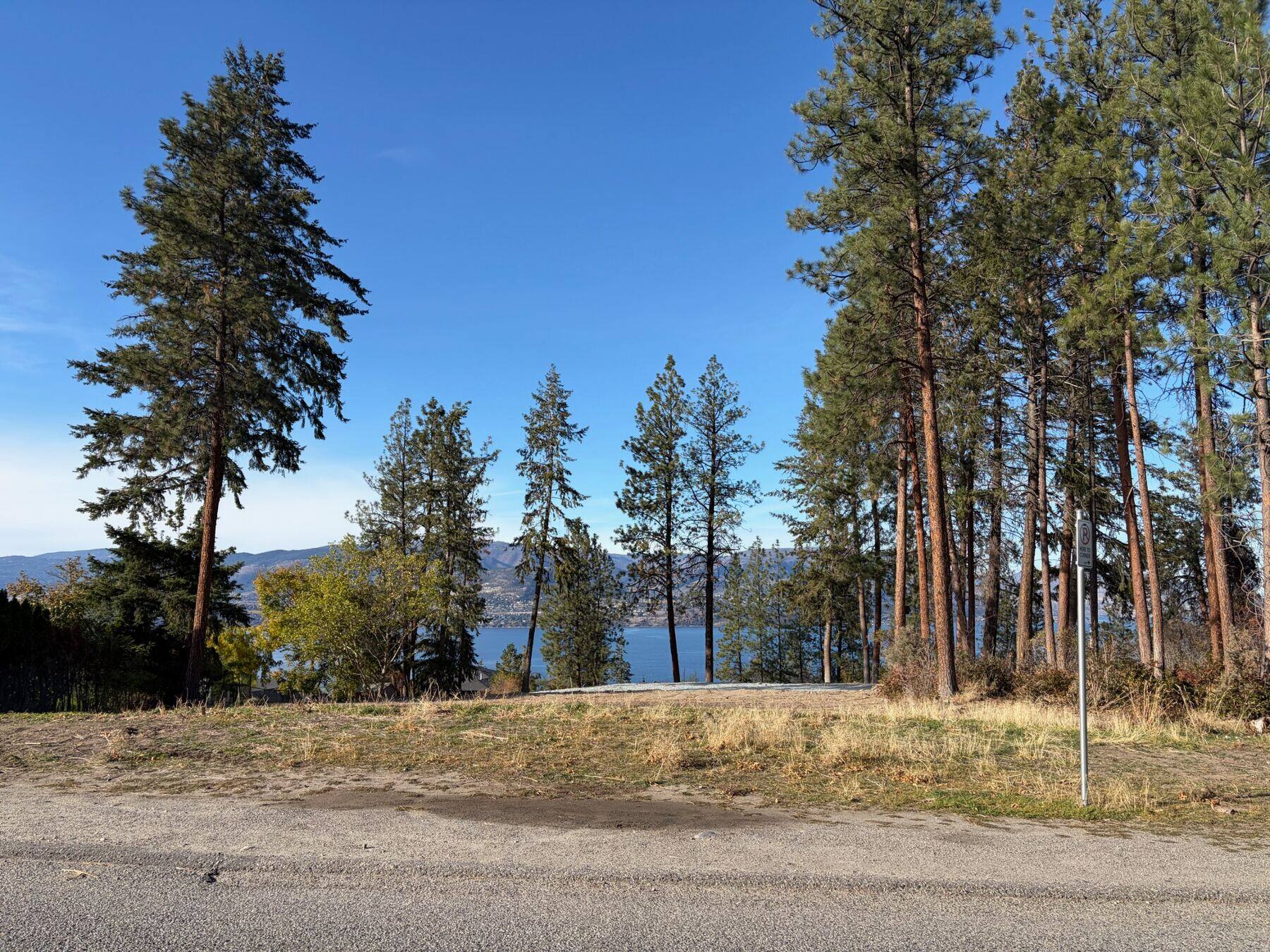 View across the lot to the lake, taken from the edge of the road