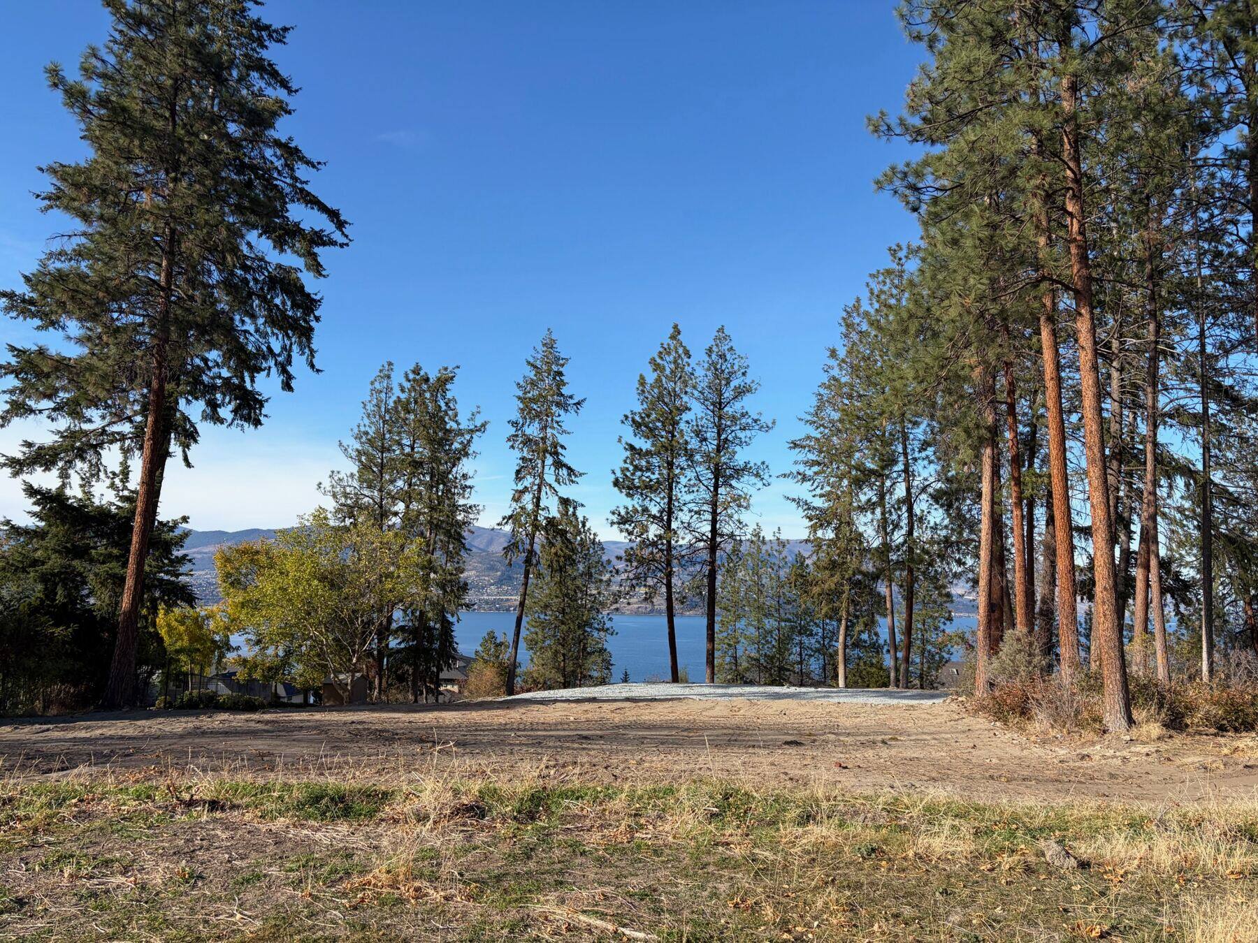 The lake and far shore framed between pines, seen from the high side of the lot
