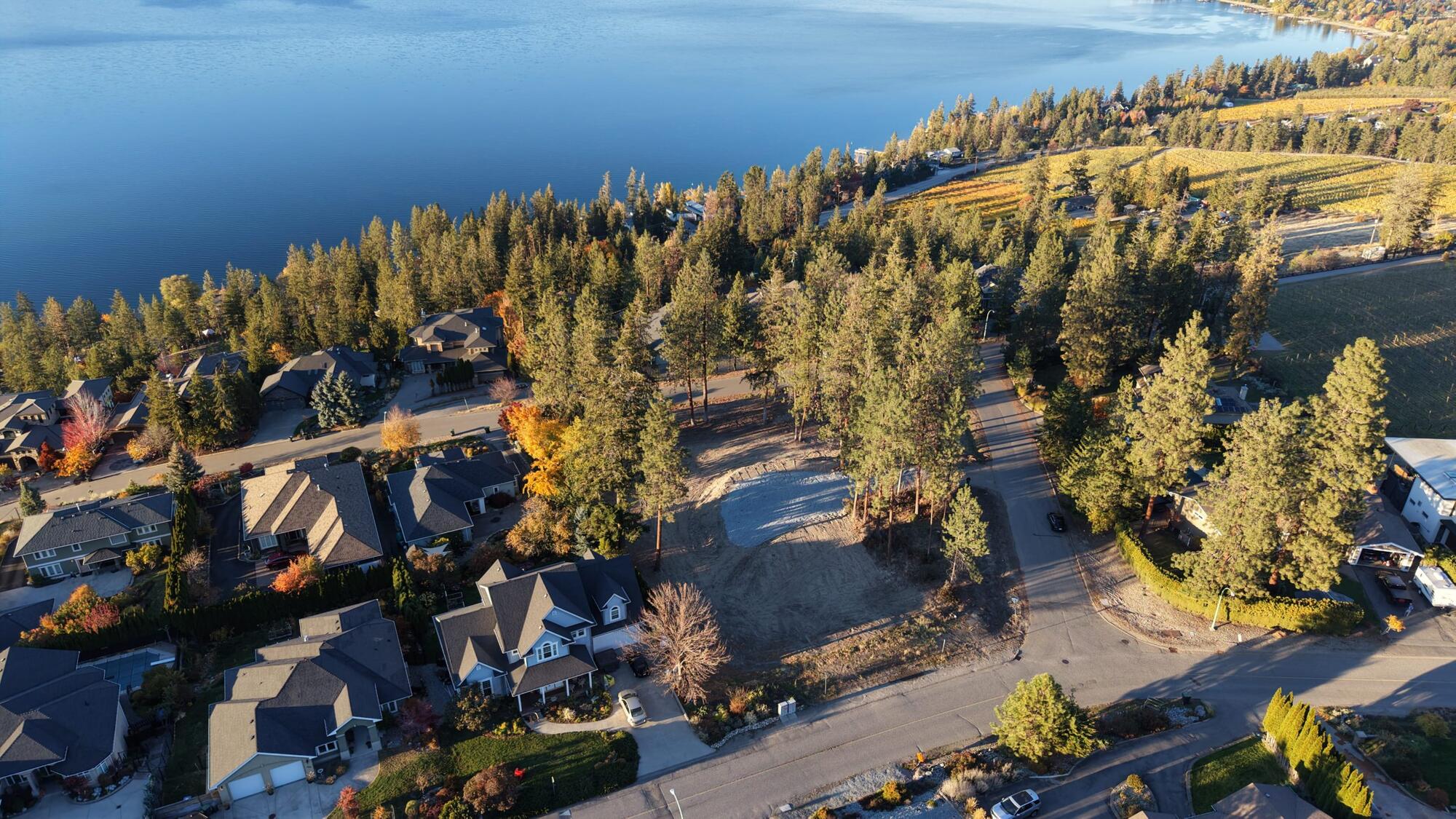 Straight-down aerial view of the cleared lot, its gravel pad and stand of pines