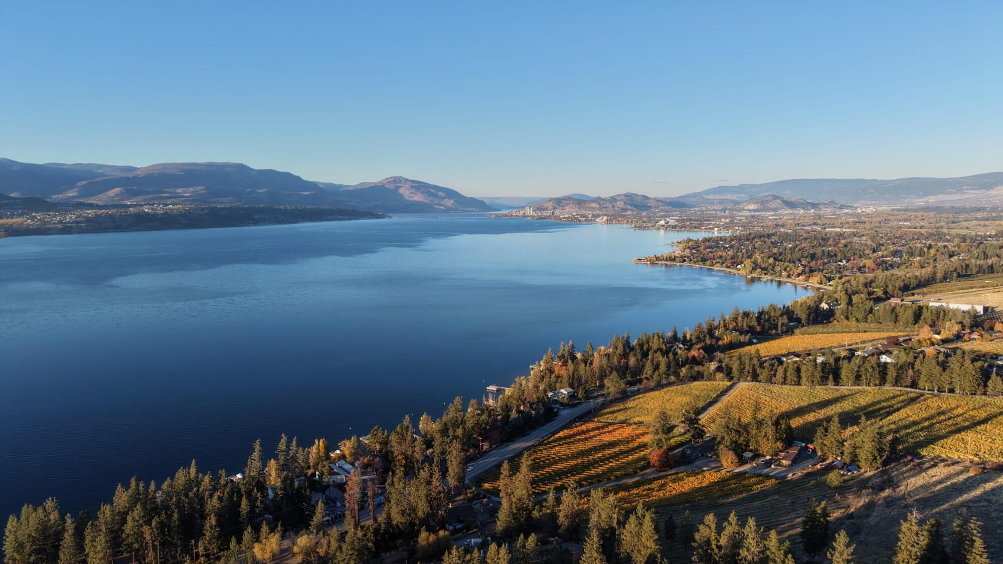Aerial view north along Okanagan Lake toward downtown Kelowna, with vineyards on the shore below